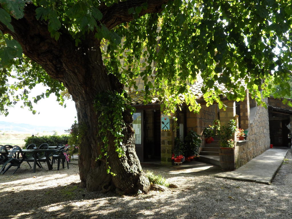 Mola Solis Hotel Civitella d'Agliano ภายนอก รูปภาพ