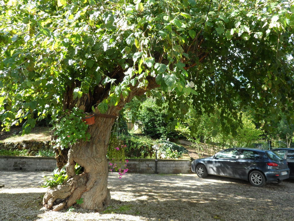 Mola Solis Hotel Civitella d'Agliano ภายนอก รูปภาพ