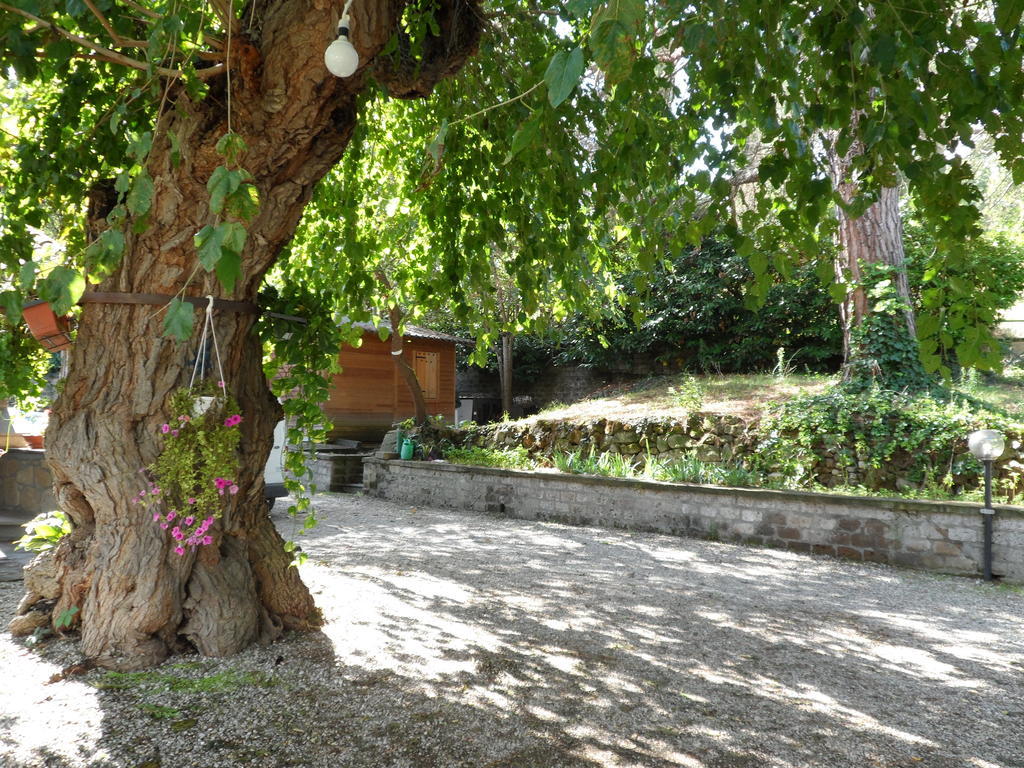 Mola Solis Hotel Civitella d'Agliano ภายนอก รูปภาพ